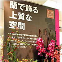 スコッチプリント